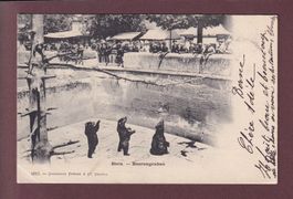 BERN - Bärengraben - 1902 Charnaux Frères // Eckbug //
