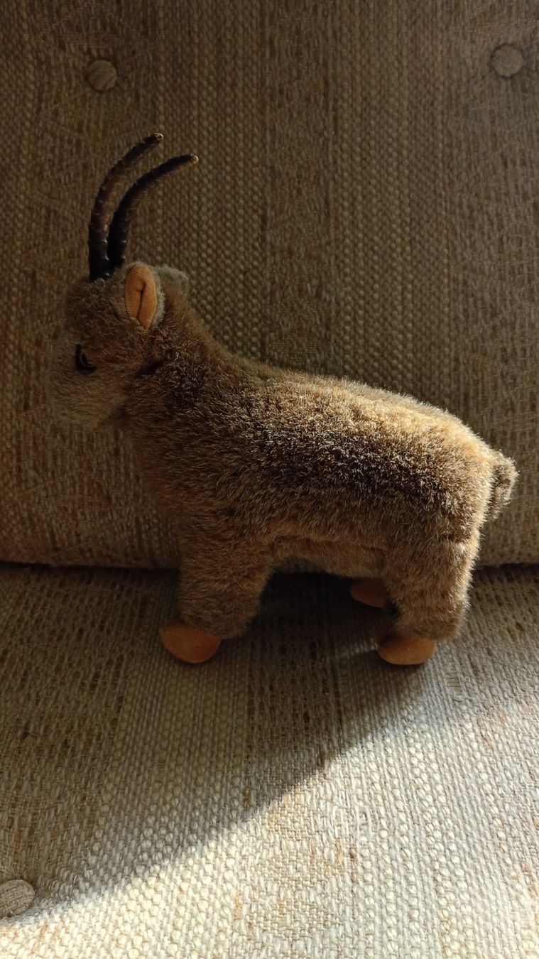 Giocattoli: Plüsch Steinbock – Usato da melchtal venduto da strickerin
