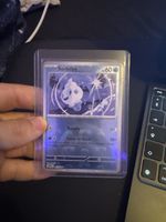 Sorbebe masterball 