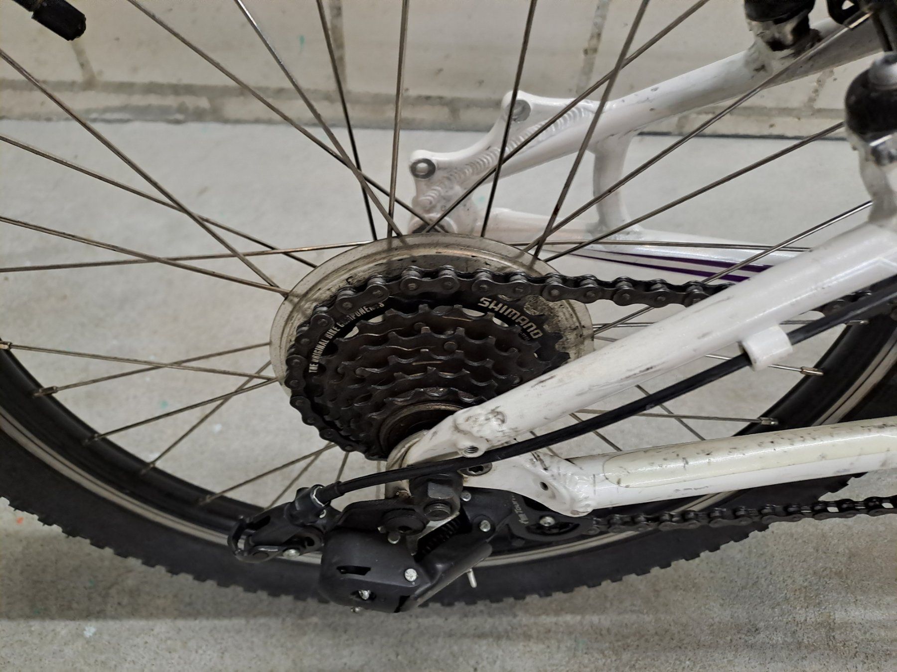 Specialized Biciclette: Spezialized 20 Zoll – Usato da Scherz venduto da Gimlitruk 2