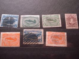 Lot alte Marken New Foundland */o