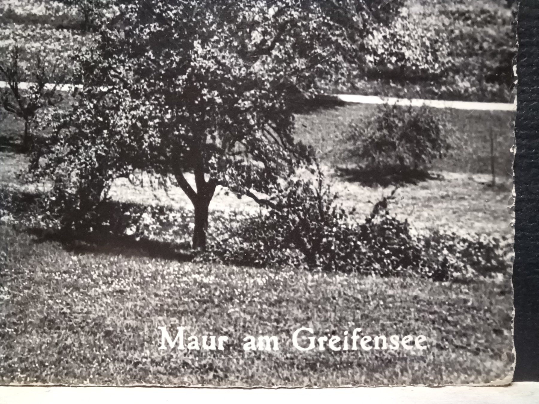 Cartoline postali: Maur am Greifensee, 1963 – Usato da Aarau Rohr venduto da mgvw 2