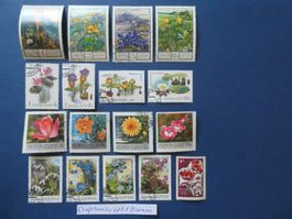 Sowjetunion Lot 1 Blumen