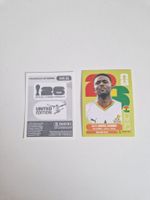 Panini Sticker GHA11