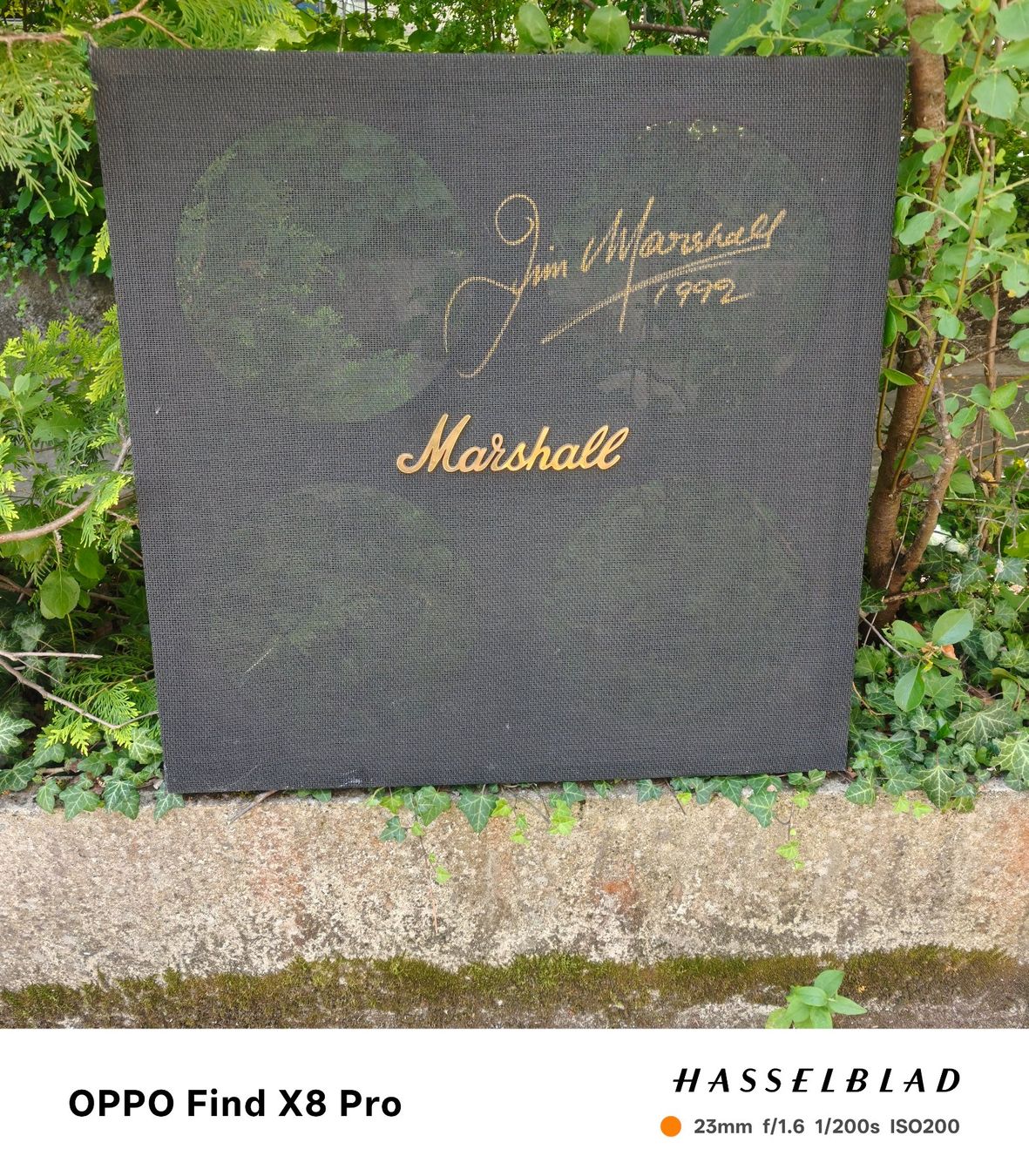 Amplificatori: Marshall 30th Anniversary Straight Cab Front – Usato da Seuzach venduto da Markleeroy
