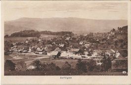 Karte Seftigen