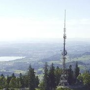 Profile image of Bachtelrider_
