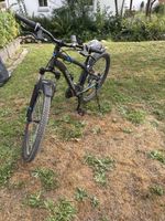 Mountainbike Rockrider ST100 grau gebrauchter Zustand