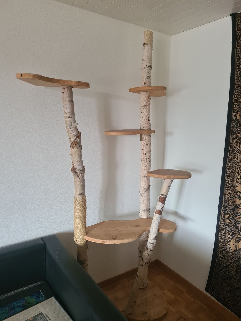 Tiragraffi: Katzenbaum Birkenholz – Usato da Thayngen venduto da Zwila99