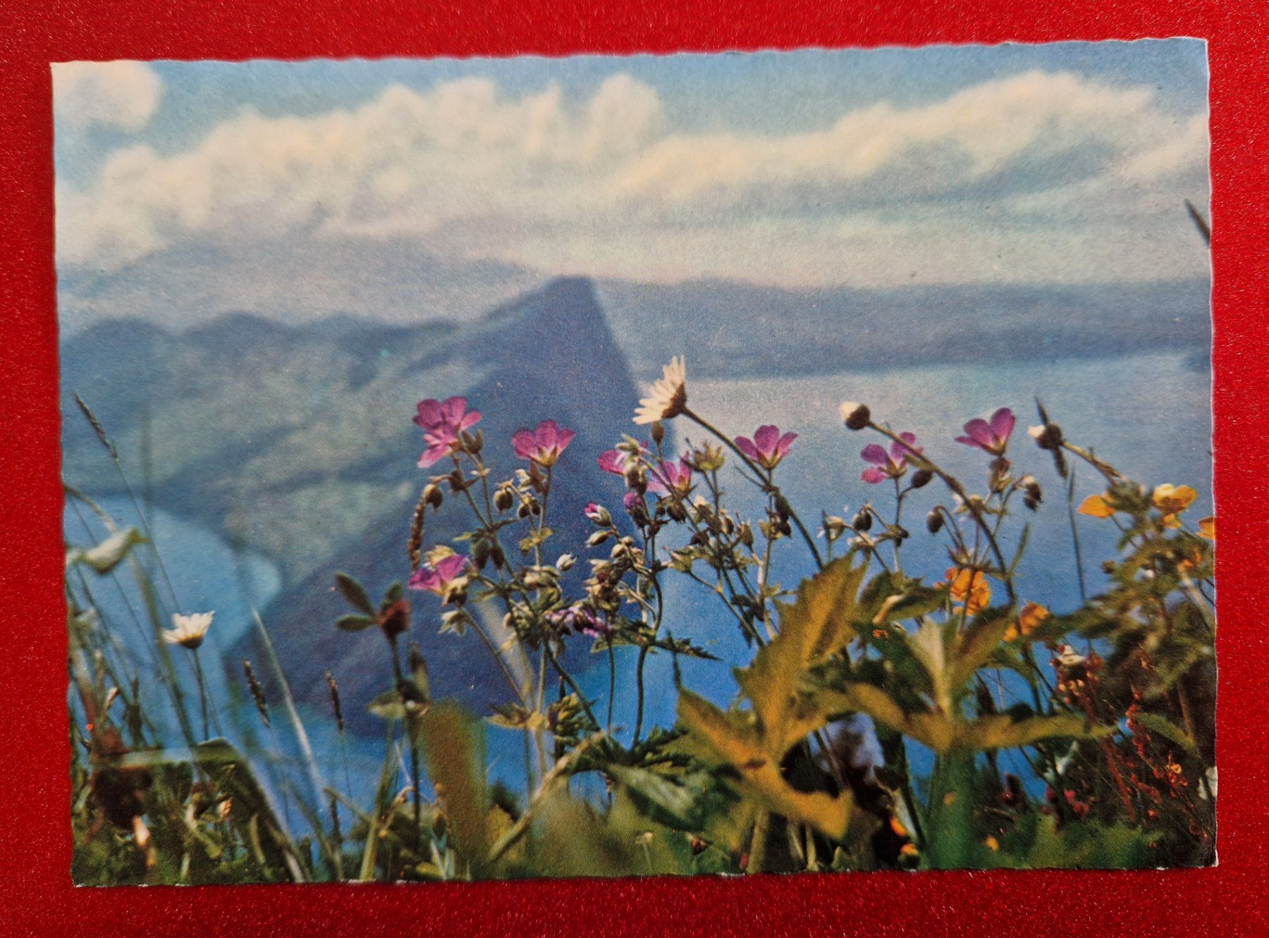 Cartoline postali: Vierwaldstättersee/Bürgenstock alt – Nuovo (secondo la descrizione) da Melchnau venduto da Arthurius
