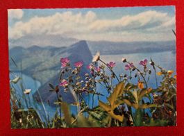 Vierwaldstättersee/Bürgenstock alt
