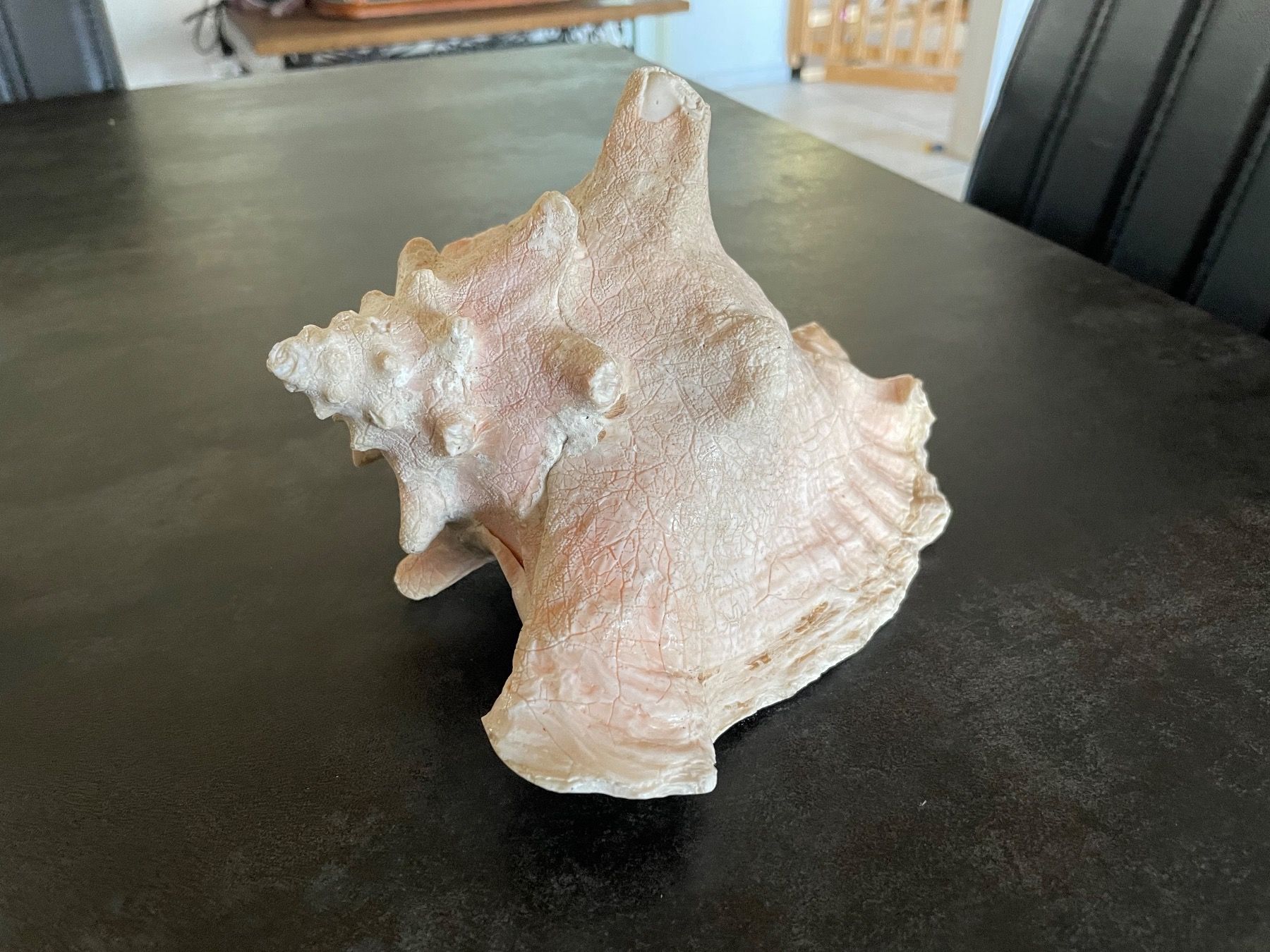 Figuren: Ancien Coquillage de Mer – Gebraucht aus Vallamand von Bricbracbroc82 2