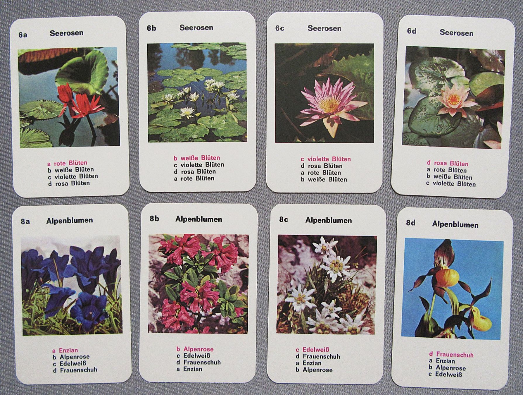 Giochi: Quartett  - Die schönsten Blumen - mit 32 Karten – Usato da Auenstein venduto da Padabimbim 5