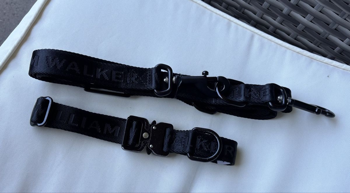 Leine & Halsband: William Walker Halsband und Leine  – Neu (gemäss Beschreibung) aus Glattbrugg von S_ch_