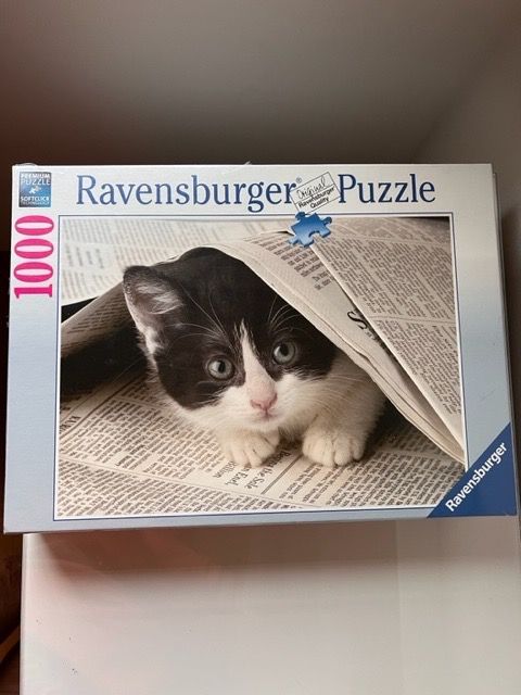 Ravensburger Puzzles: Ravensburger Puzzle 1000 Teile Kätzchen OVP – Neu und originalverpackt aus Appenzell von Folco