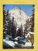 AK von Torret en hiver