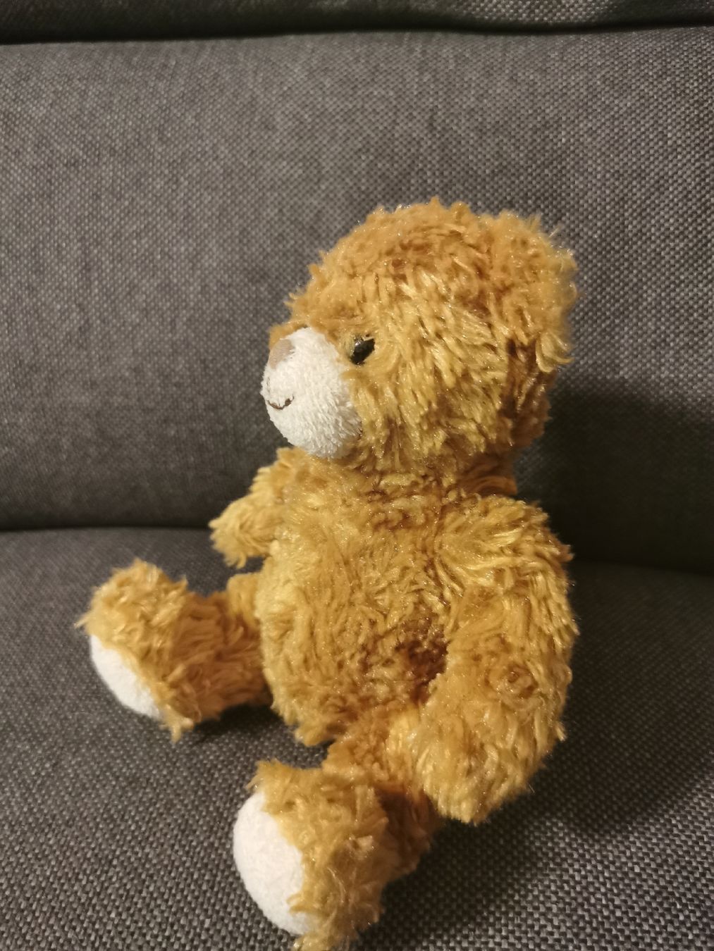 Teddy Hermann Giocattoli: Teddybär Teddy-German GmbH Deutschland – Usato da Buchs SG venduto da and_s6ps 6