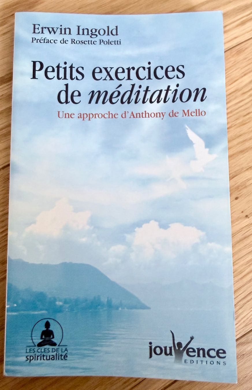Libri: Petits exercices de méditation, de Erwin Ingold – Nuovo (secondo la descrizione) da Lucens venduto da gardur