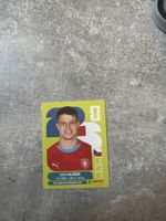 Panini CZE 19