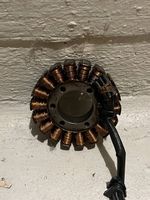 Ktm Smcr 690 Lichtmaschine/Stator