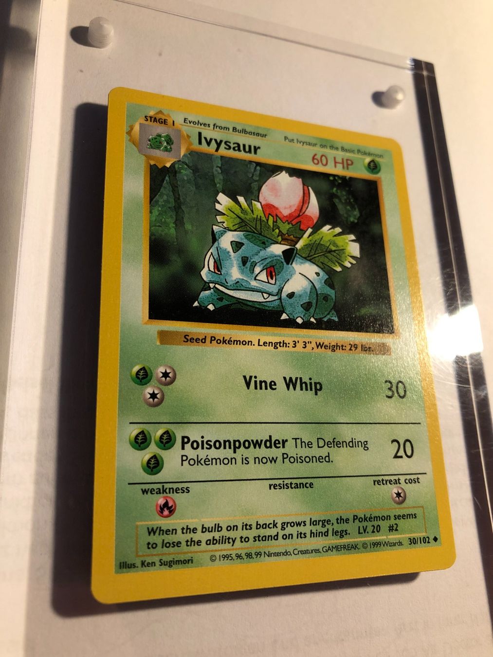 Sammelbilder & Trading cards: Ivysaur (uncommon) Base Set Shadowless - MINT - ab 1.- – Gebraucht aus Giubiasco von dan_pr8b 1