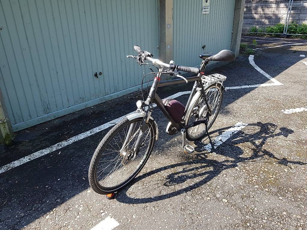 Biciclette: Wheeler E-Bike – Usato da Basel venduto da DNSMER 2