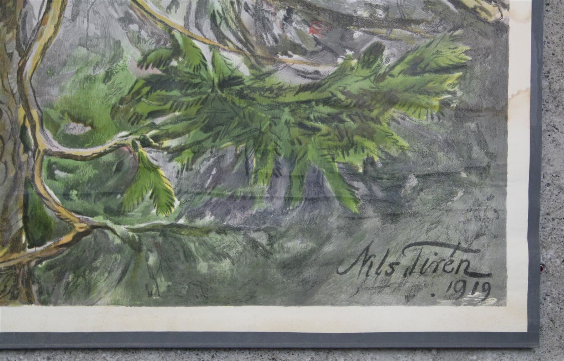Posters & Illustrations: Schulwandbild "Eichhörnchen" Nils Tiren – D'occasion à Birrwil par brandschatz_birrwil 2