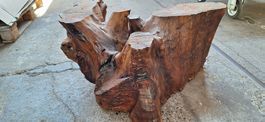 Holzwurzel