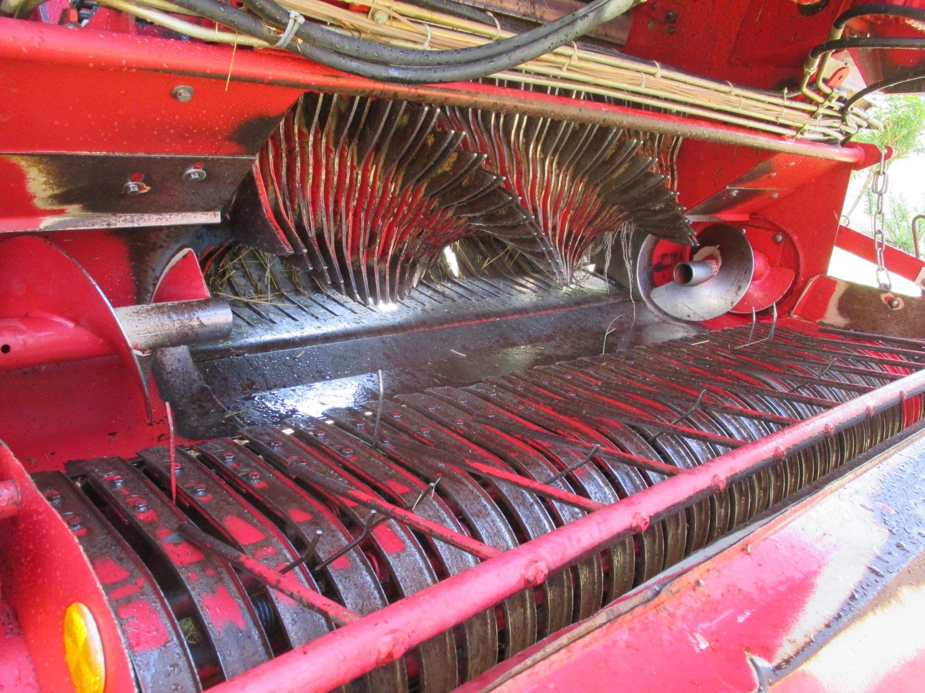 Welger Tutte le macchine: Rundballenpresse Welger RP 520 Master – Usato da Oberhallau venduto da Gibraltar01 7