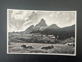 AK   Braunwaldalp  ca. 1940  ungebraucht (G922)