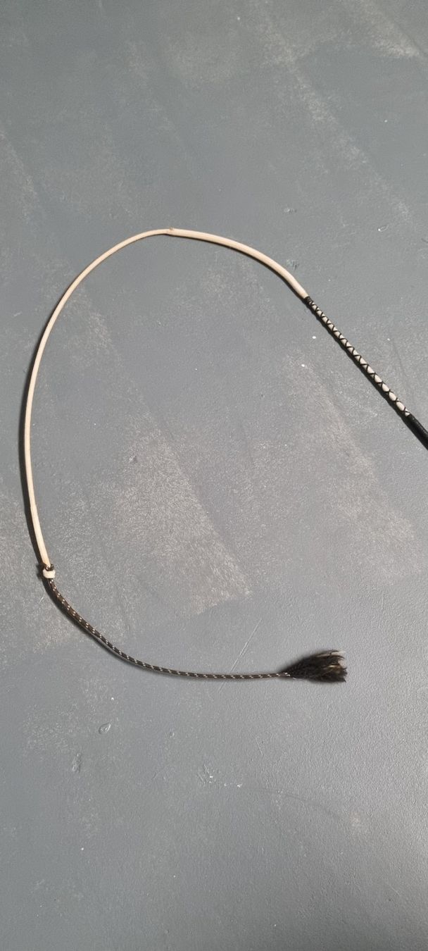 Altro in Accessori per animali: Fahrpeitsche – Usato da Lyss venduto da mel_td7r 2