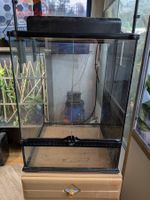 EXO Terra 45x45x60 inkl. passender Beleuchtung