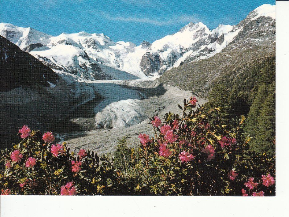 Cartoline postali: Engadin 7 um 1995 – Usato da Bürglen TG venduto da StampGraf