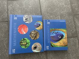 Mathematik 4 Themenbuch LMVZ Lösungsheft guter Zustand