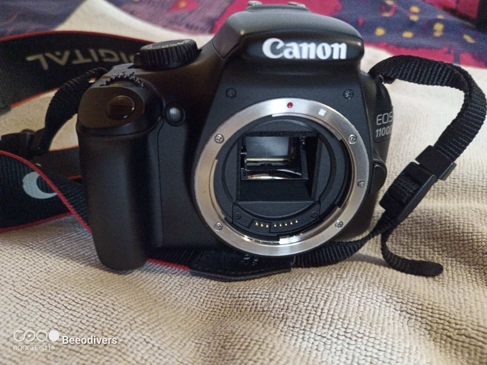 Canon Fotocamera: Canon Eos 1100D – Usato da Zeneggen venduto da Samvondeen2020 3