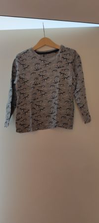 Lupilu Langarmshirt Grau Dinosaurier Gr 110 116