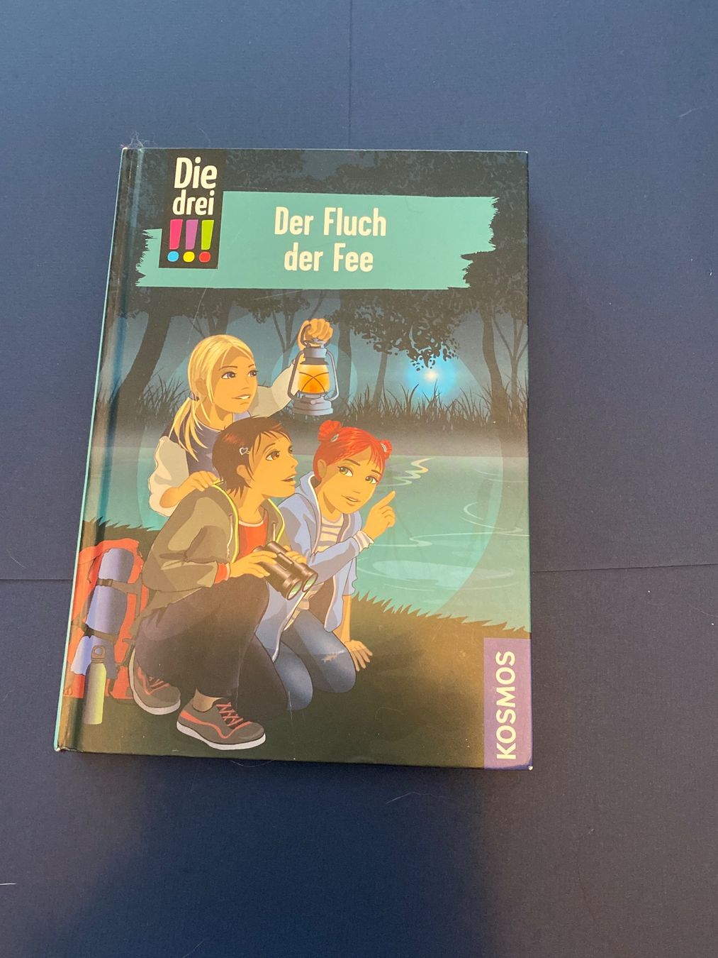 Bücher: Die drei !!! Der Fluch der Fee – Neu (gemäss Beschreibung) aus Beinwil am See von Windlepack