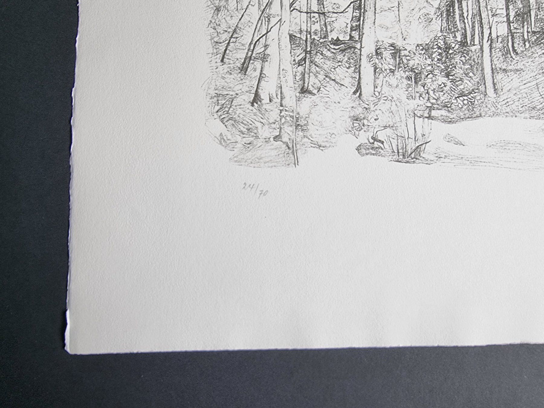 Grafica & Litografie: PAUL BODMER LITHOGRAPHIE SIGNIERT NUMMERIERT – Usato da Gersau venduto da kunst-online 1