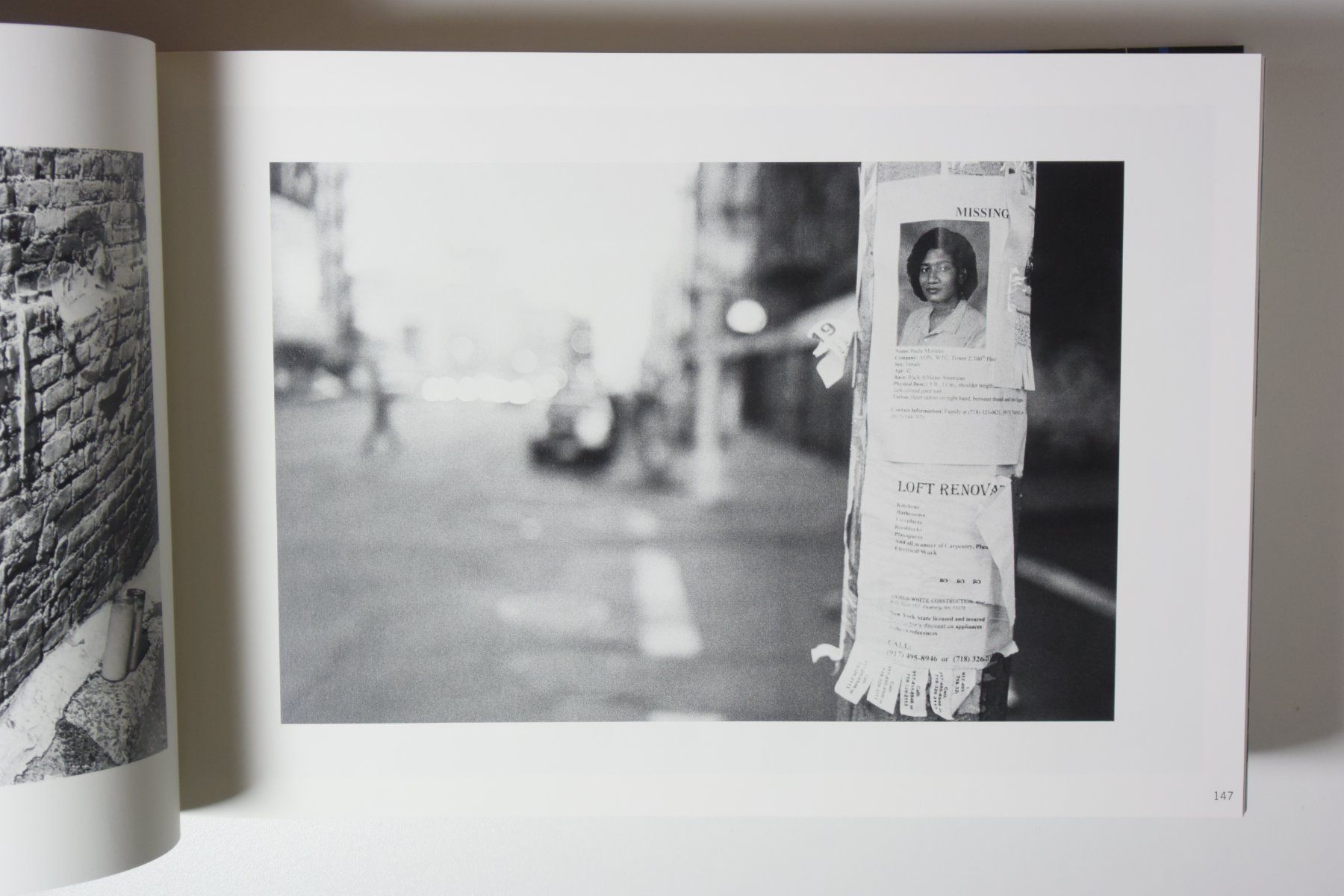 Libri: Here is New York – Usato da Erschwil venduto da taglang 4