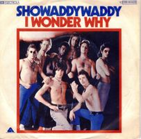 Single7  Showaddywaddy -- I wonder why