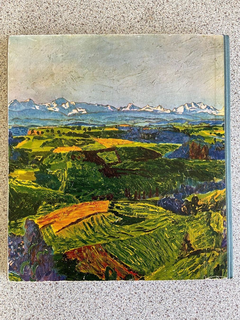Livres: dreisprachiges Bern - Buch – D'occasion à Böckten par Hansi36 7