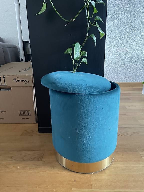 Sgabelli: Sitzhocker – Usato da Bern venduto da eva_gt56 1