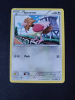 Spearow 65/108 Pokémon XY Roaring Skies 2015 (EN) ab 1.-