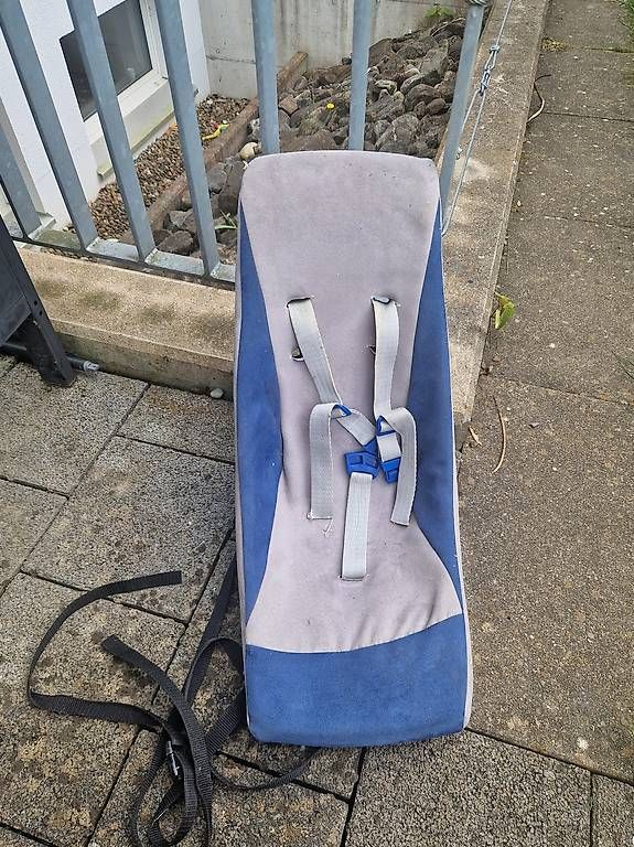 Rimorchi: Newbornsitz Veloanhänger – Usato da Weinfelden venduto da and_5rxf