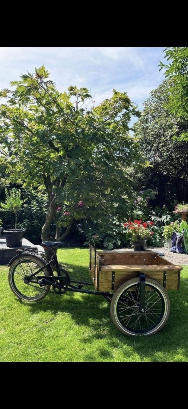 Velos: Transport Fahrrad  – Gebraucht aus Winterthur von vin_bb7c 1