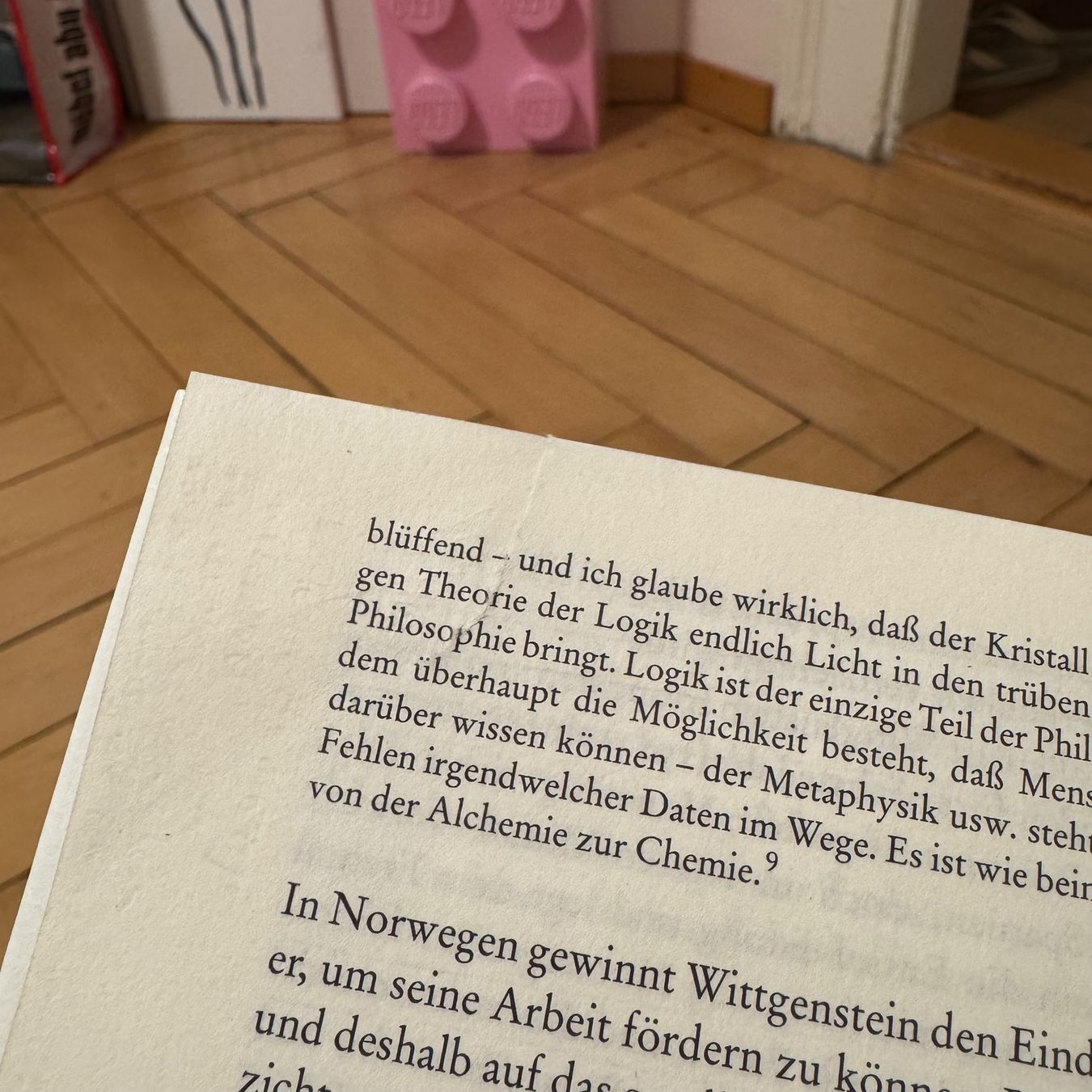 Libri: Wittgenstein: Tractatus & Untersuchungen – Usato da Luzern venduto da philippbrl 4