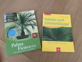 Bücher: Palmen und Zimmerbäume & Palme, Ficus & Co.