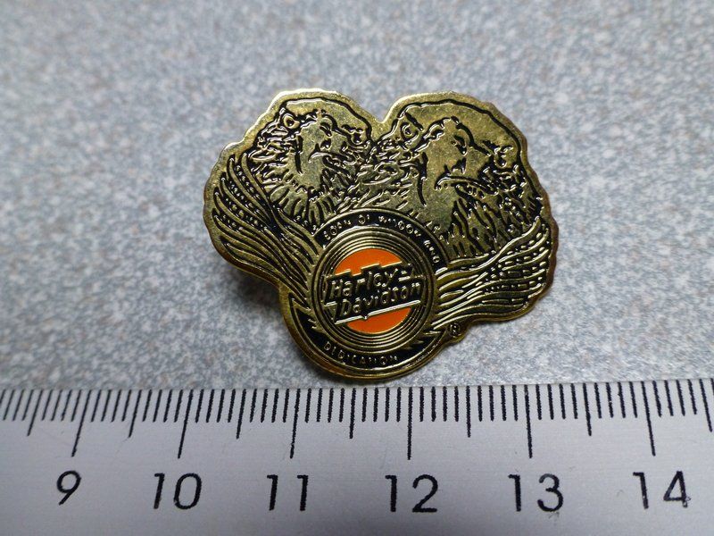 Placchette & Badge: PIN PINS HARLEY DAVIDSON HOG ABZEICHEN CHAPTER BADGE – Usato da Gränichen venduto da Jumbo77