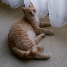 Profile image of andaluslady