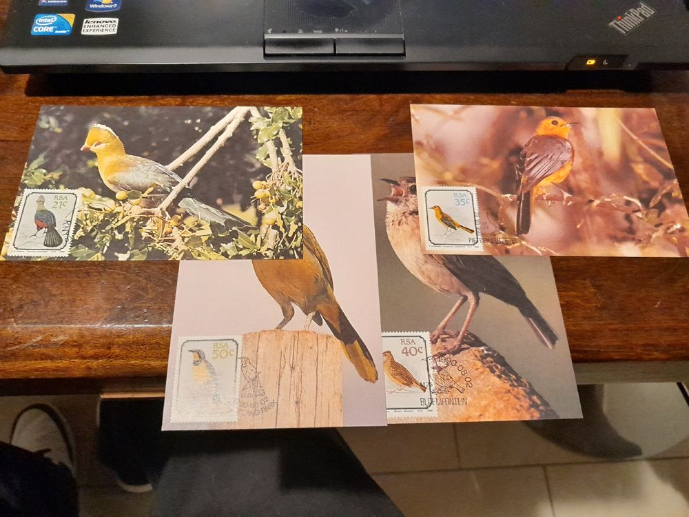 Oiseaux - Lot de 25 timbres sur les oiseaux